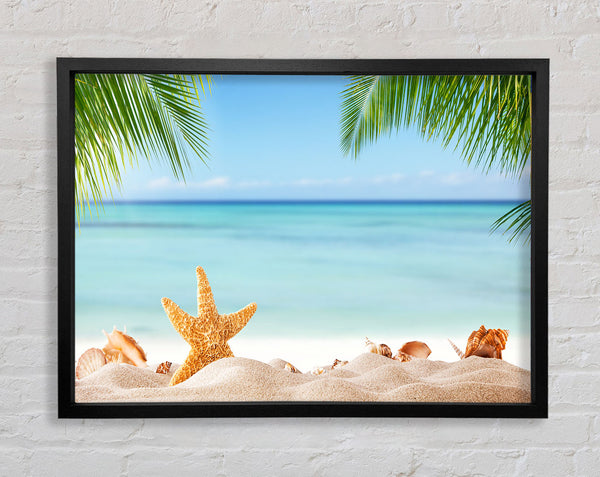 Starfish on the beach scene