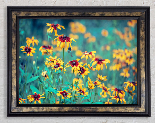 Yellow flowers in the greenery Framed Print