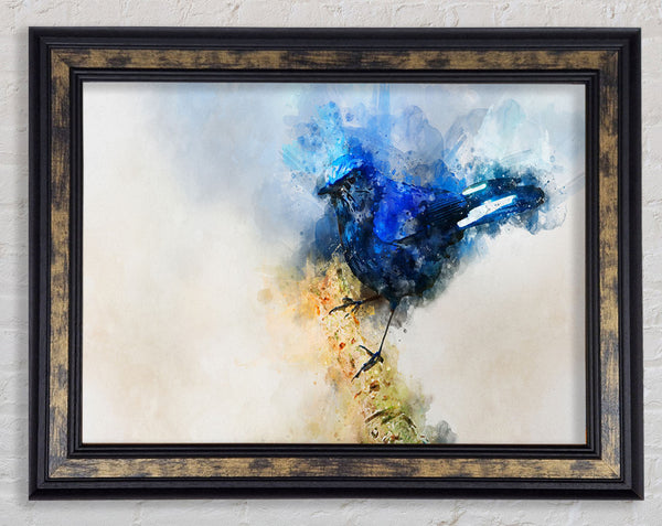 Blue watercolour bird on branch Framed Print