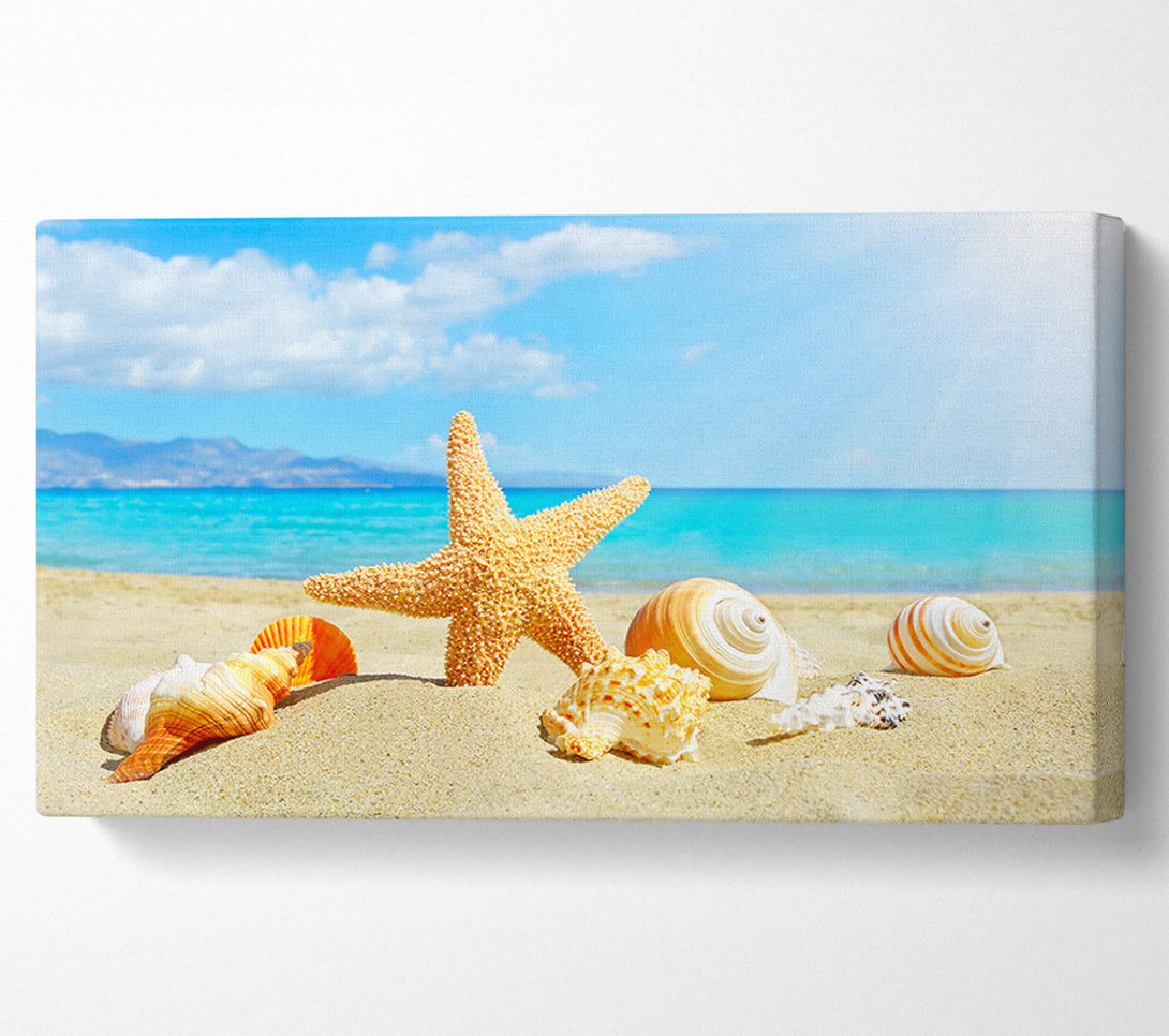  A Canvas Print of Starfish standing in the sand Canvas Wall Art