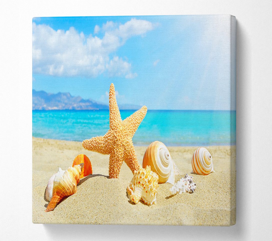  A Canvas Print of Starfish standing in the sand Canvas Wall Art