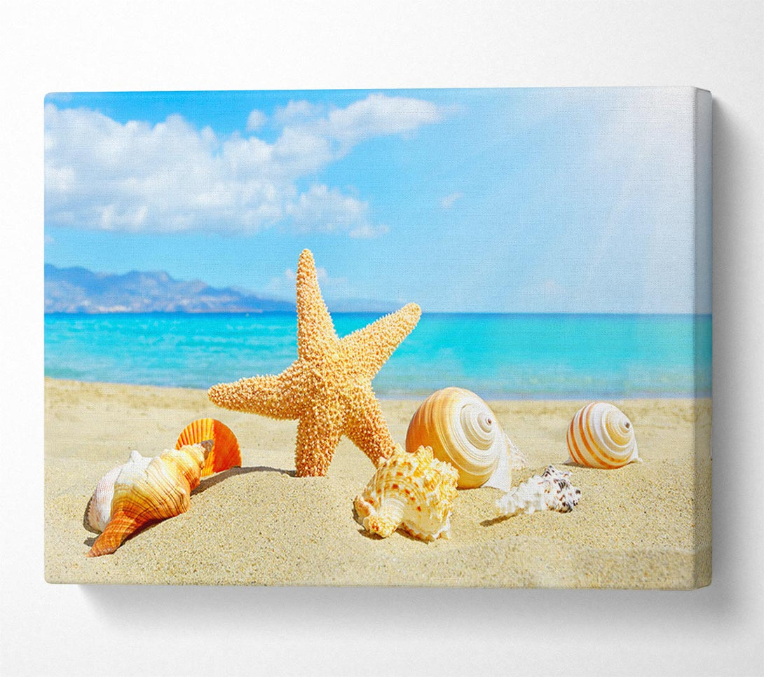  A Canvas Print of Starfish standing in the sand Canvas Wall Art