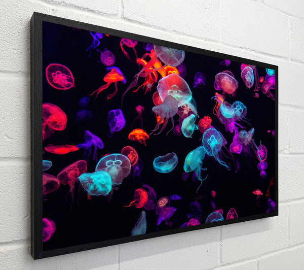 Neon Jellyfish frenzy