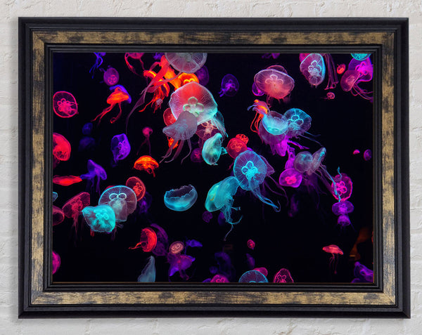 Neon Jellyfish frenzy