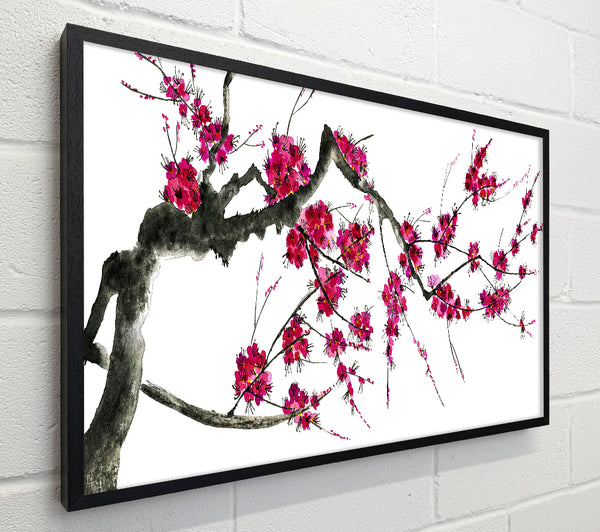 Cherry blossom illustration