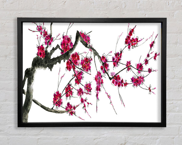 Cherry blossom illustration