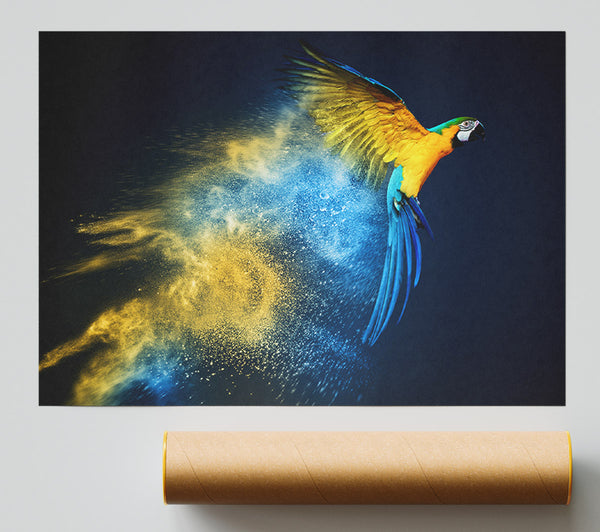 Powder Parrot Take Off Print