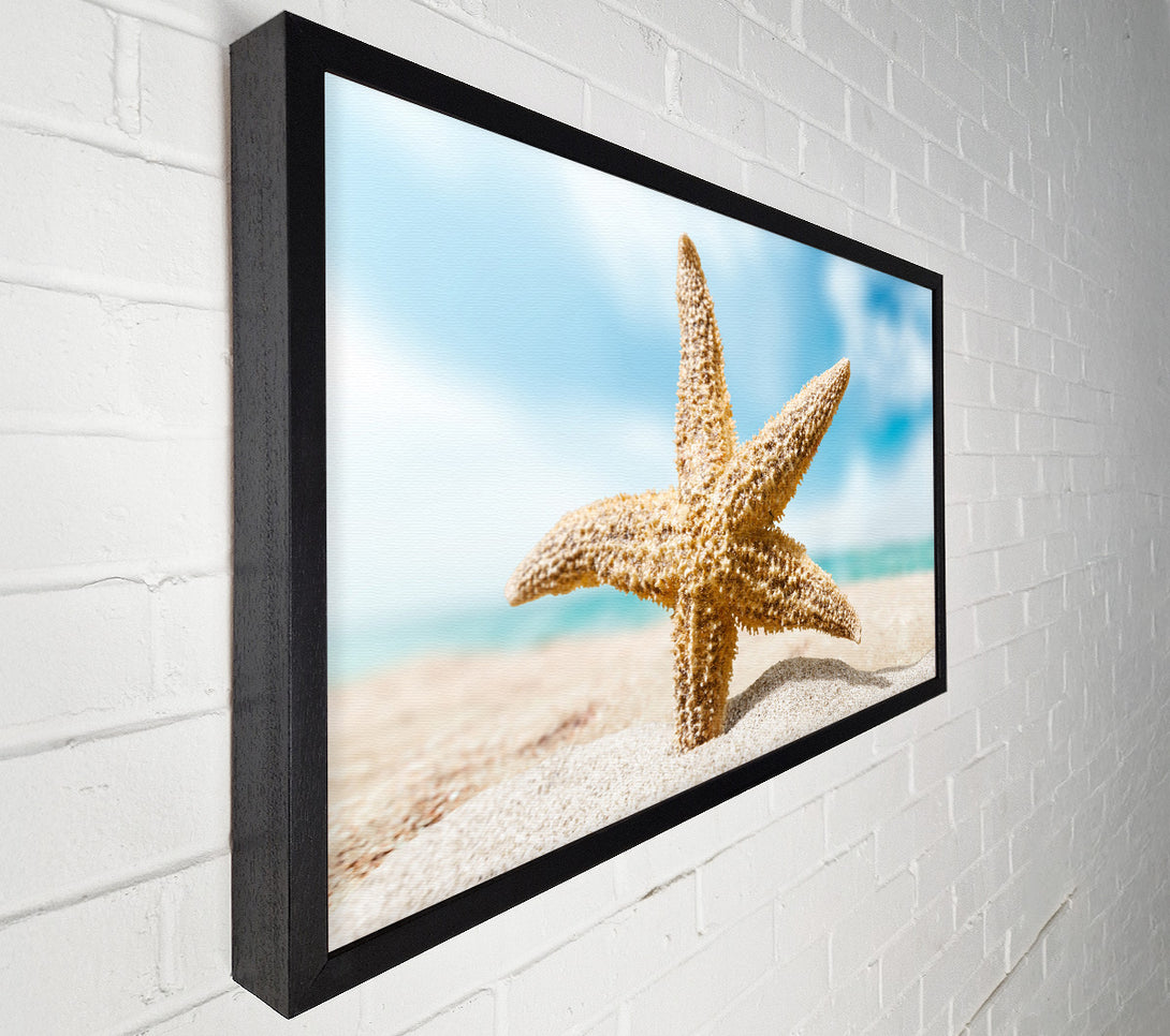  A Canvas Print of Starfish in detail sands Canvas Wall Art
