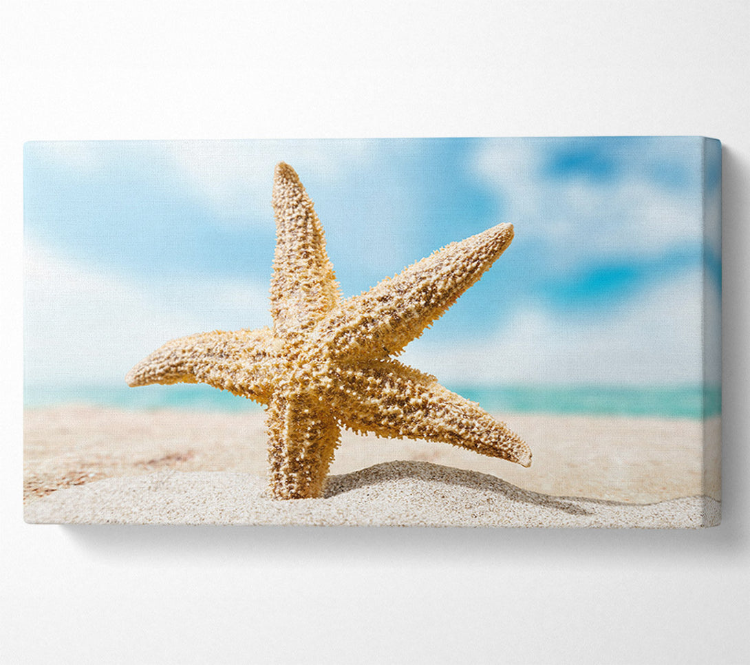  A Canvas Print of Starfish in detail sands Canvas Wall Art