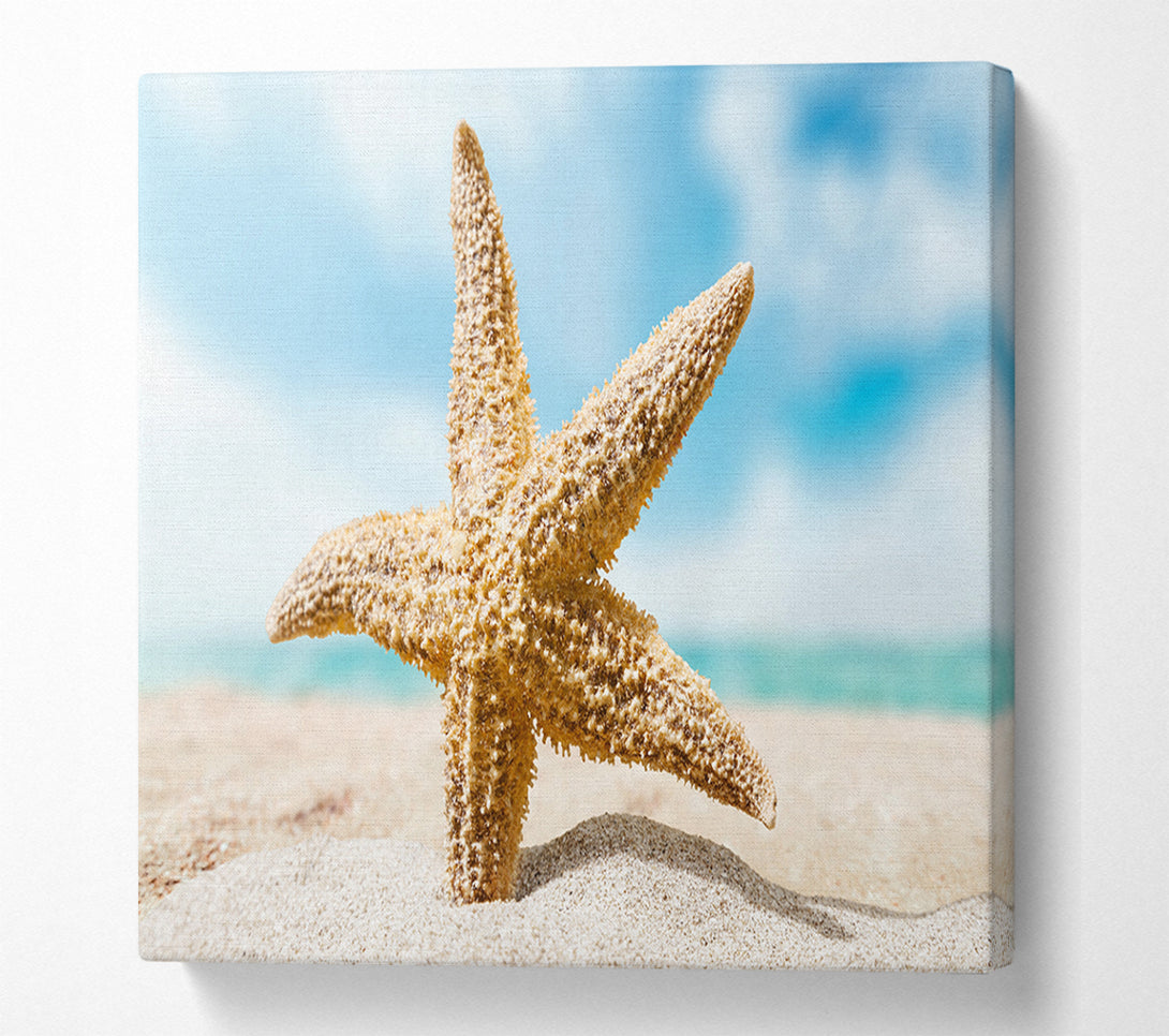  A Canvas Print of Starfish in detail sands Canvas Wall Art