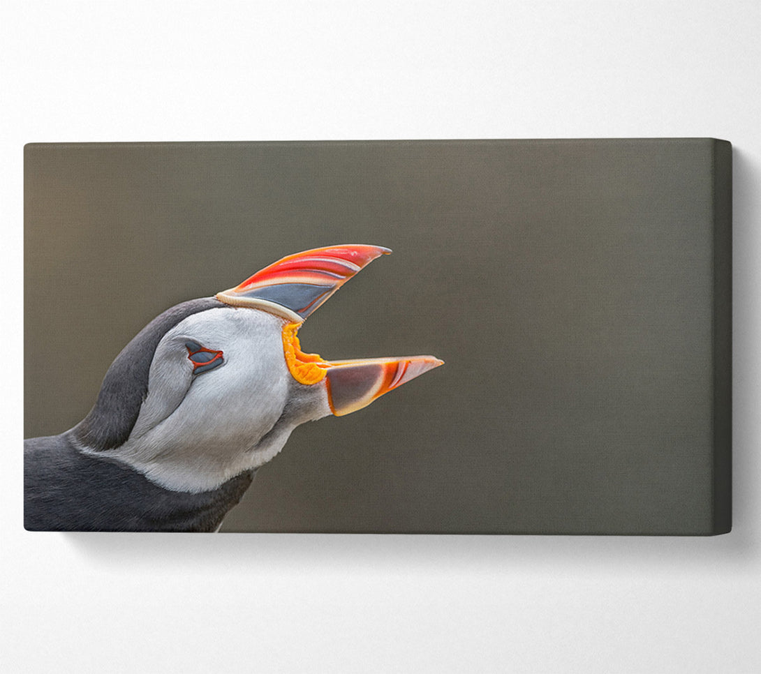  A Canvas Print of Puffin sounding the alarm Canvas Wall Art