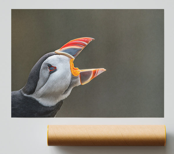 Puffin Sounding The Alarm Print