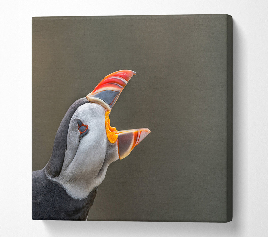  A Canvas Print of Puffin sounding the alarm Canvas Wall Art