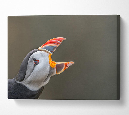 Puffin sounding the alarm Canvas Wall Art