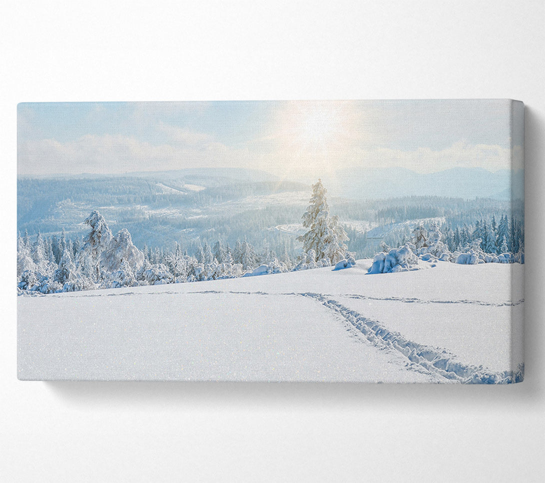  A Canvas Print of heavy snow on the plane Canvas Art