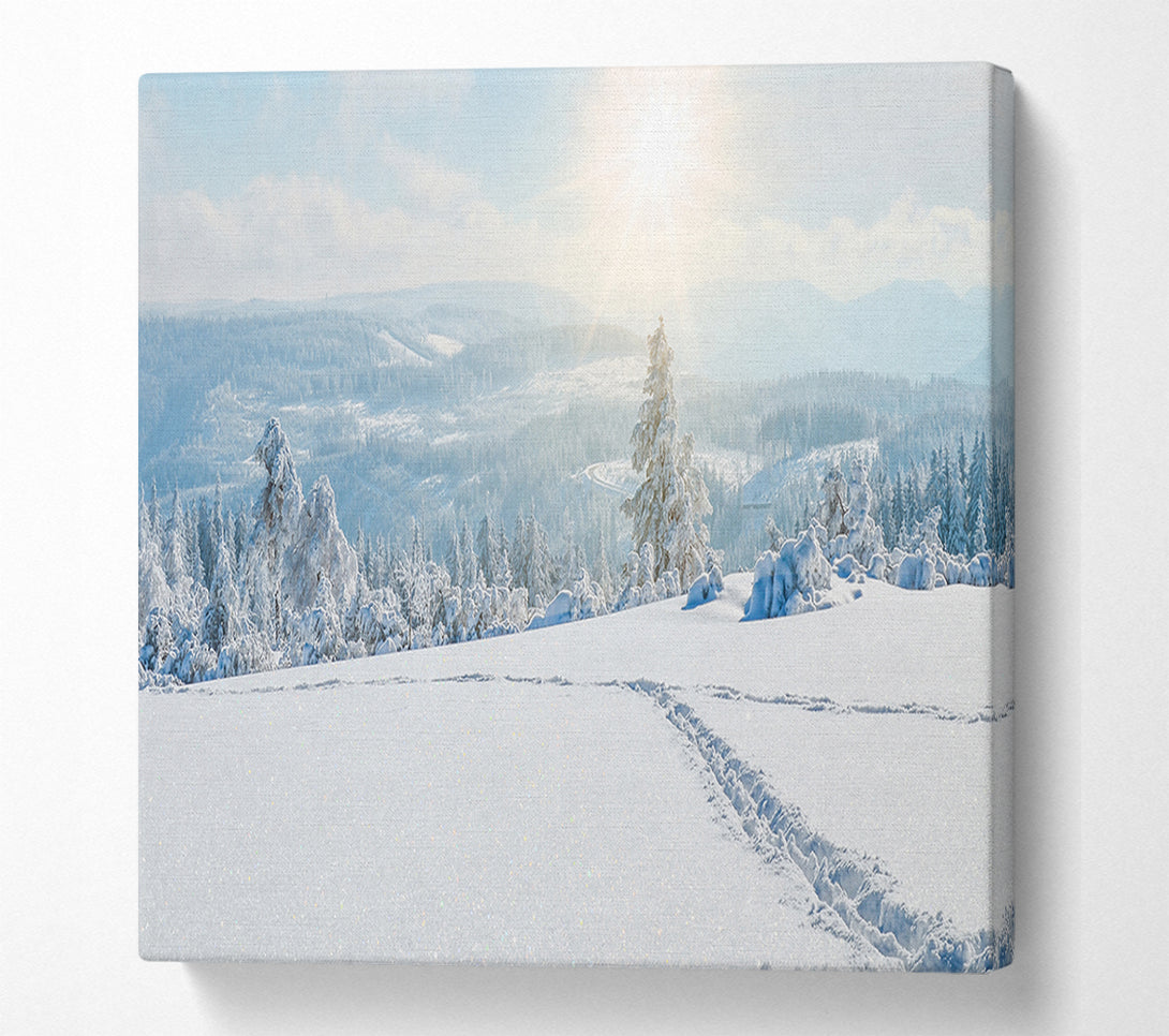  A Canvas Print of heavy snow on the plane Canvas Art
