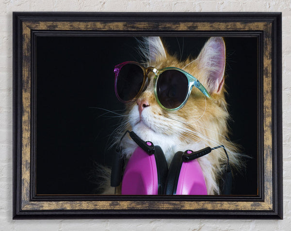 Cool headphones cat with headphones