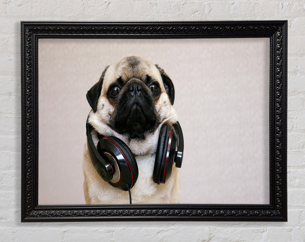 Cool pug wearing headphones