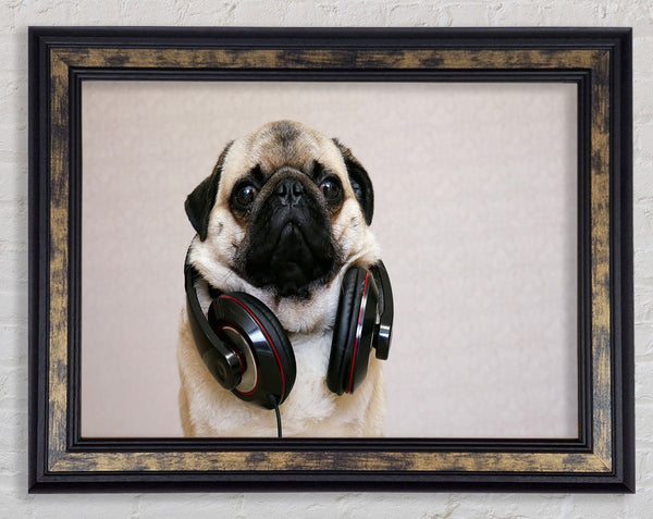 Cool pug wearing headphones Framed Print