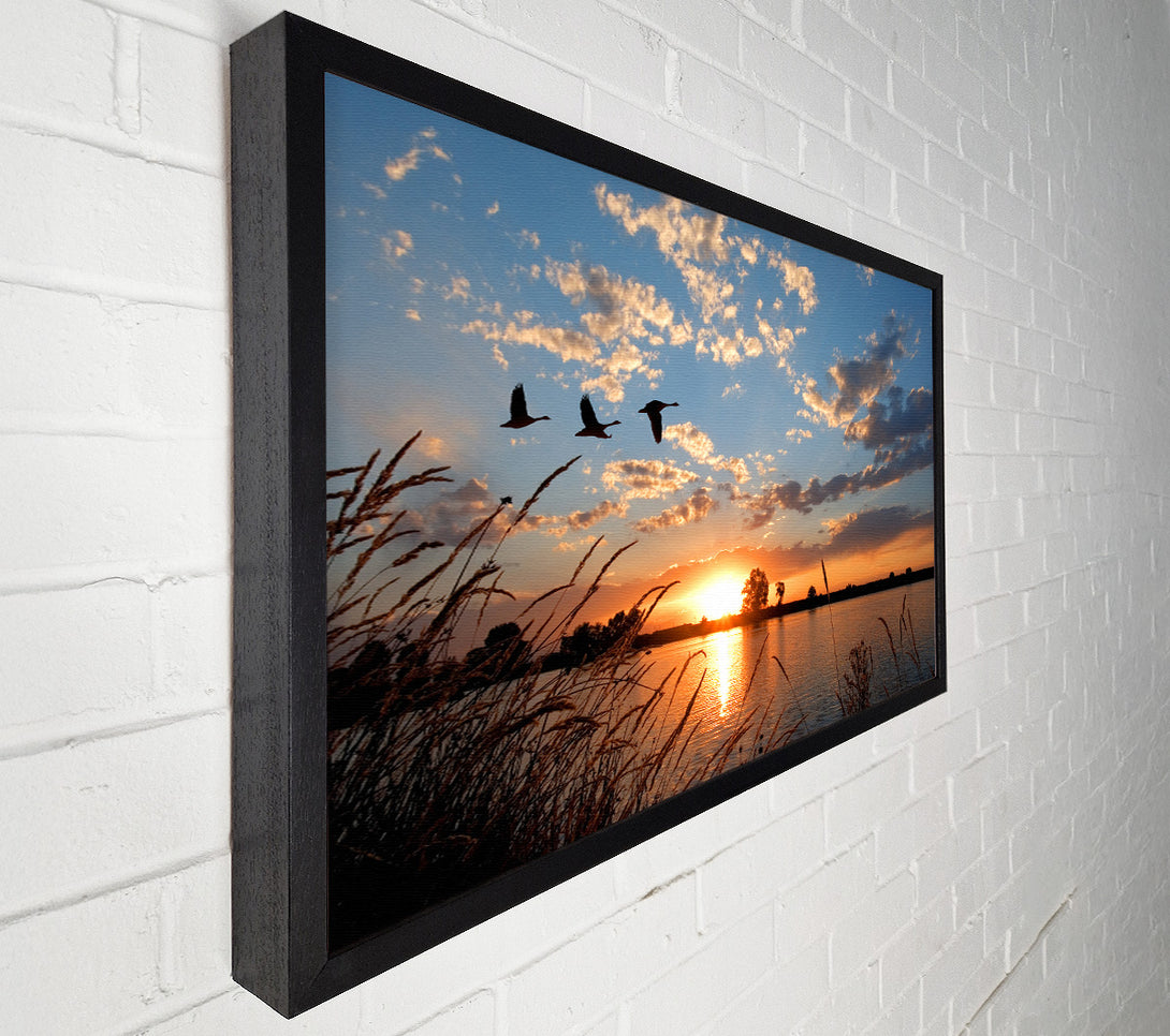  A Canvas Print of Swans flying over the lake Canvas Print