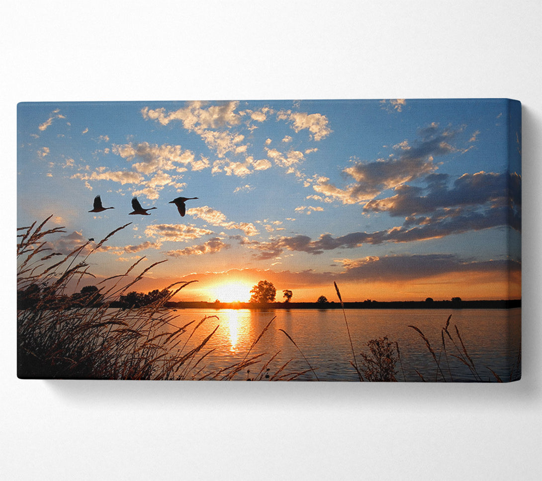  A Canvas Print of Swans flying over the lake Canvas Print