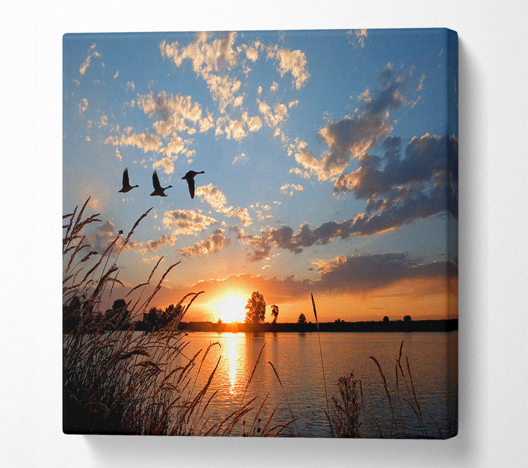  A Canvas Print of Swans flying over the lake Canvas Print