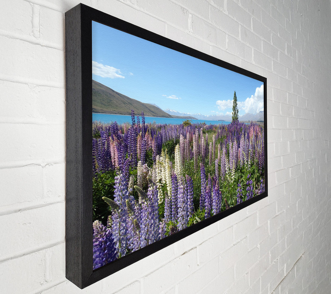  A Canvas Print of Loopins peering over the lake Canvas Wall Art
