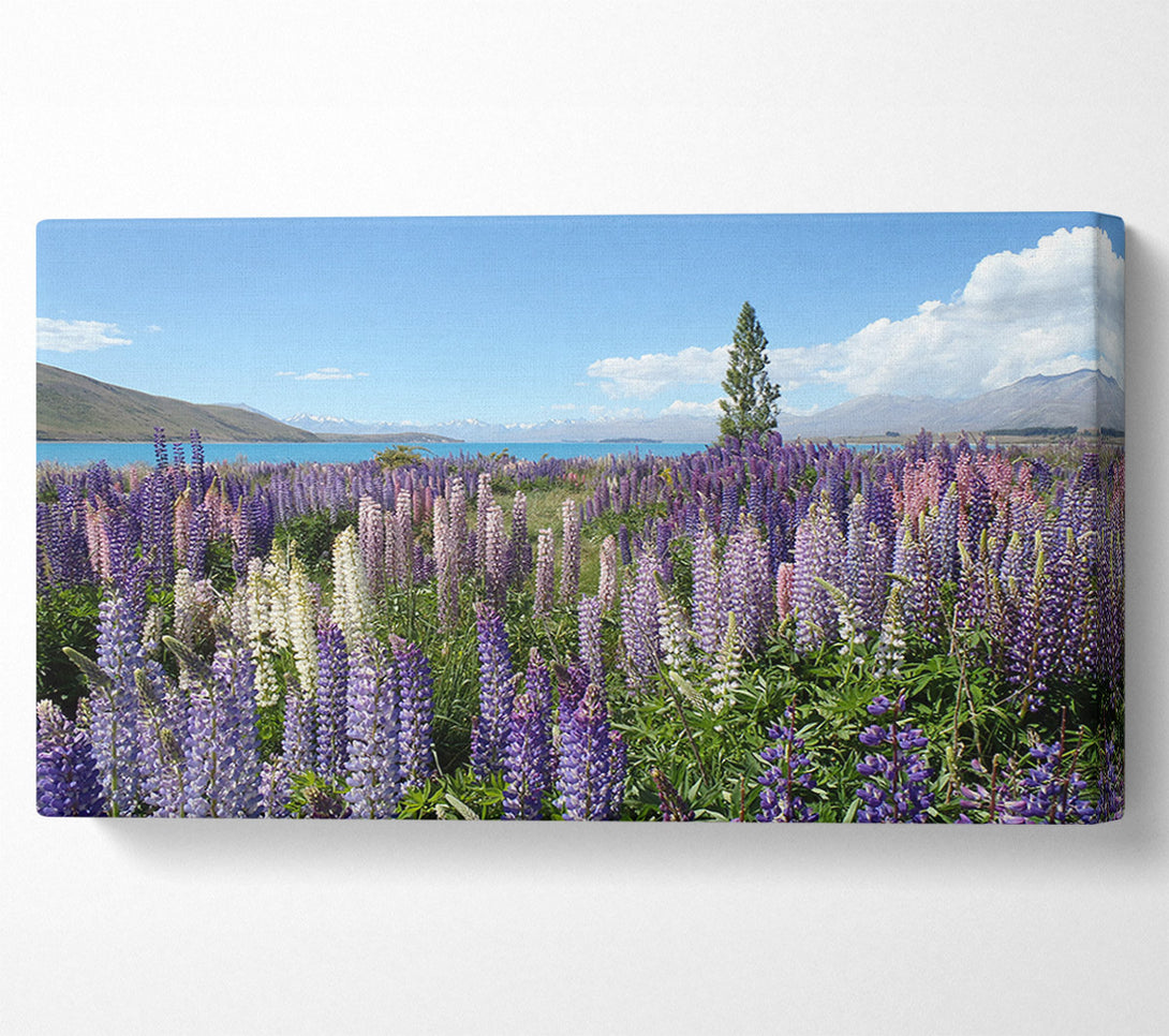  A Canvas Print of Loopins peering over the lake Canvas Wall Art