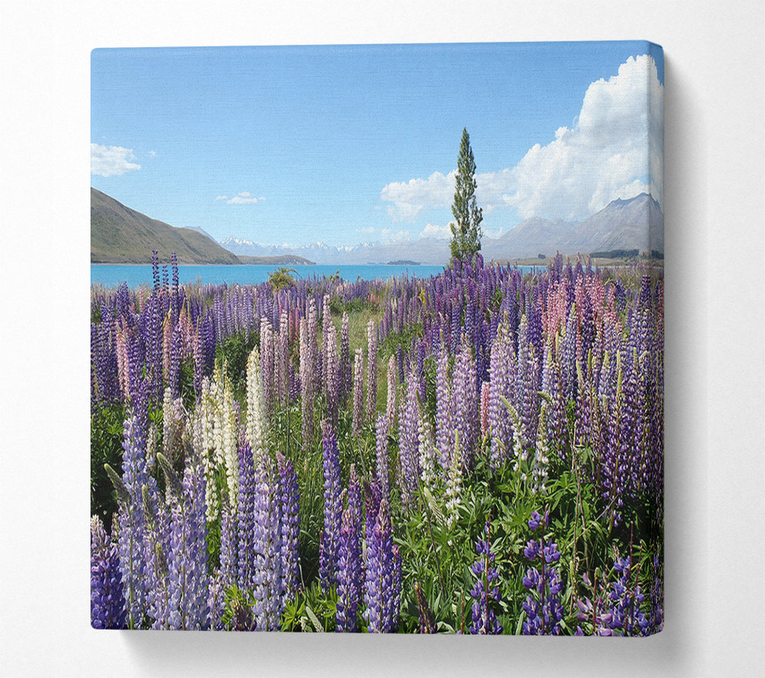  A Canvas Print of Loopins peering over the lake Canvas Wall Art