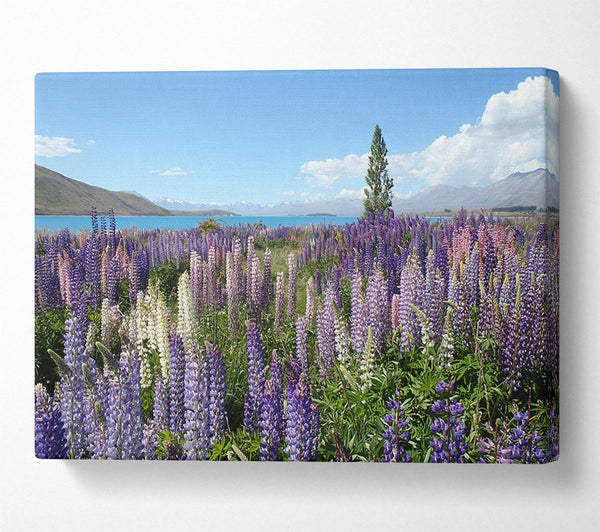  A Canvas Print of Loopins peering over the lake Canvas Wall Art