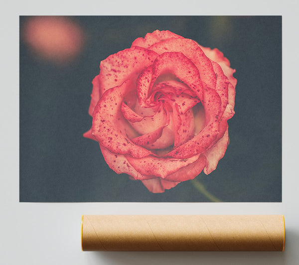 Pretty Speckled Flower Print