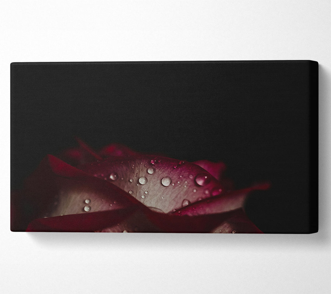  A Canvas Print of water droplets falling off a flower Canvas Art