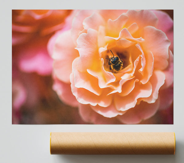 Bee Chilling In A Flower Giclee Print