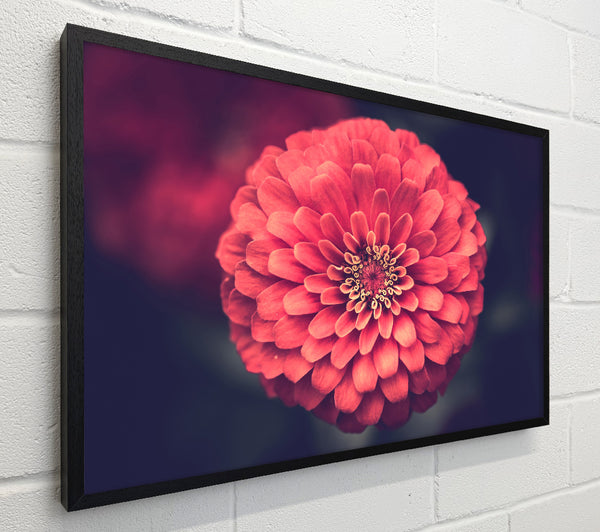 Circular flower perfectly balanced
