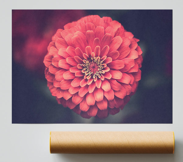 Circular Flower Perfectly Balanced Poster