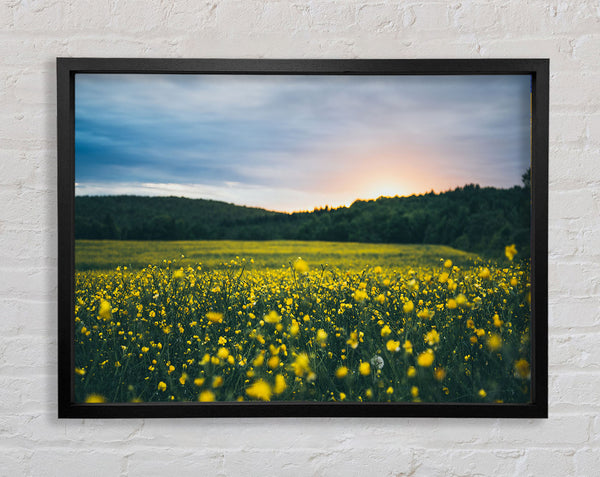 Surreal field of yellow flowers Framed Print