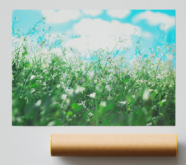 Wild Flowers In The Spring Meadow Giclee Print