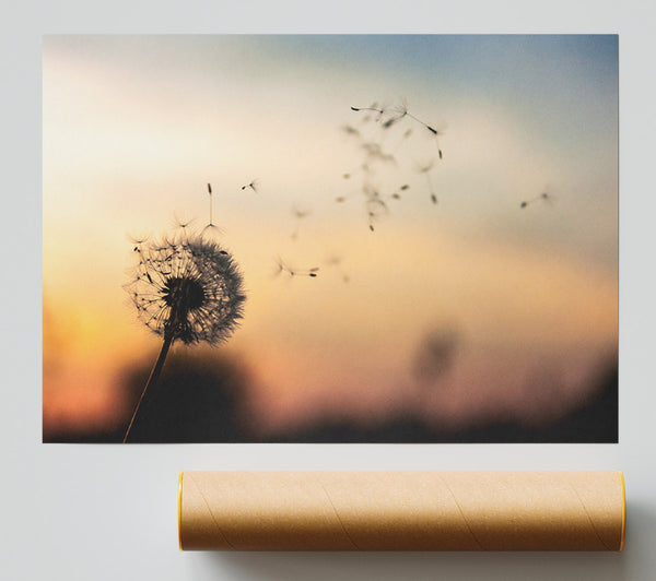 Dandellion Seeds Floating Giclee Print