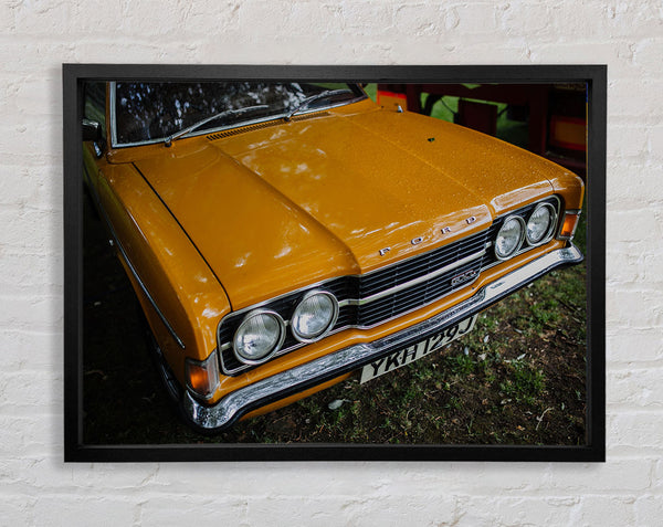 Gemeiner gelber Oldtimer