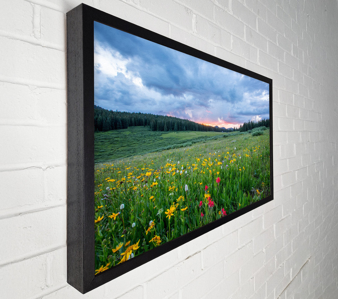  A Canvas Print of Spring meadow between the trees Canvas Wall Art