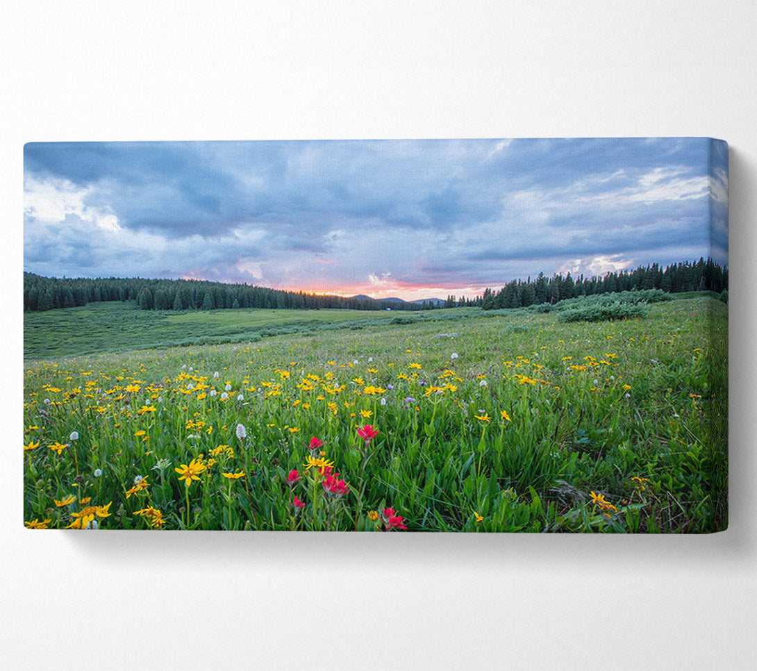  A Canvas Print of Spring meadow between the trees Canvas Wall Art