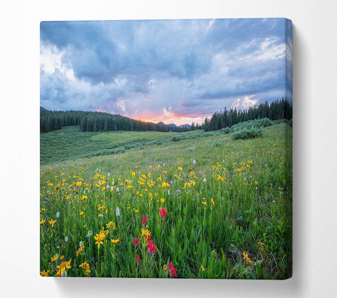  A Canvas Print of Spring meadow between the trees Canvas Wall Art