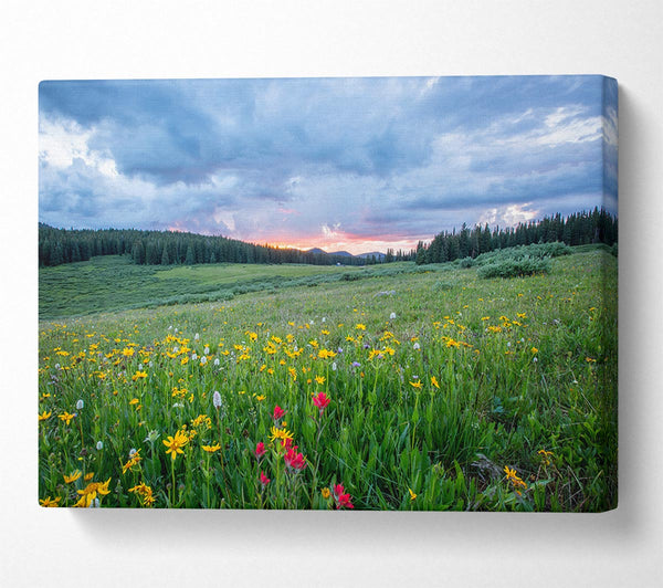  A Canvas Print of Spring meadow between the trees Canvas Wall Art
