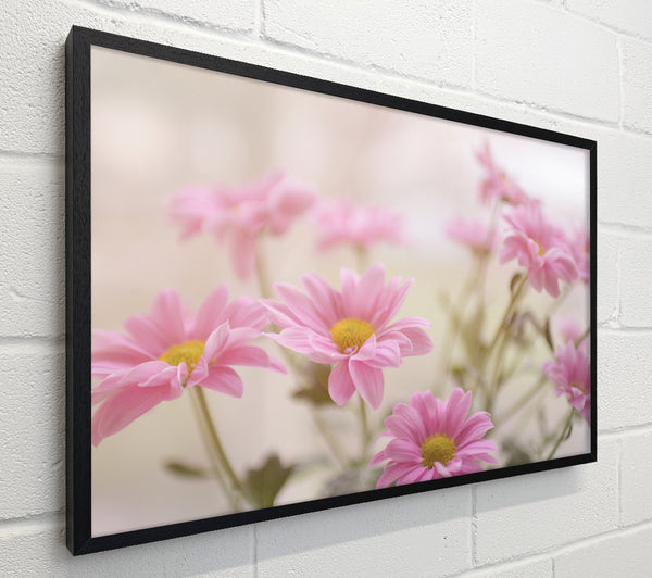 Pink flowers in soft light