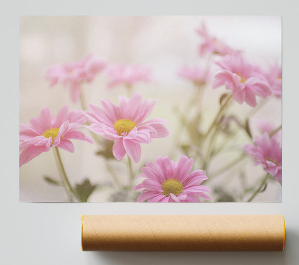 Pink Flowers In Soft Light Poster
