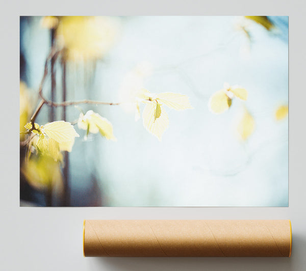 Bleached Leaves Print