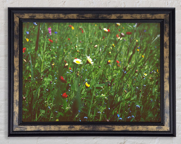 Springtime flowers greenery Framed Print