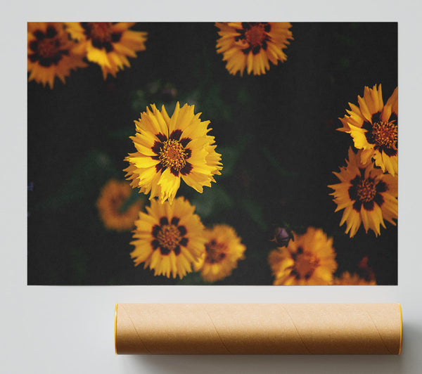 Yellow Flowers In The Dark Print