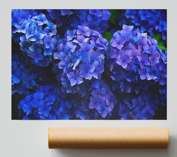 Purple Flowers Bunched Giclee Print