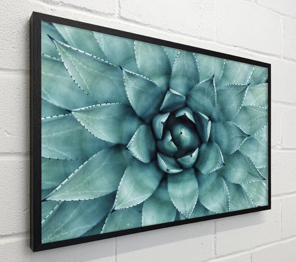 Green cool Zen plant